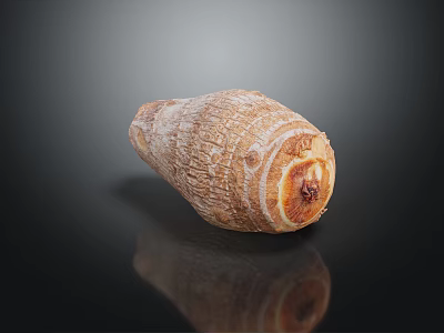 Fresh Whole Taro Root With Natural Brown Skin And Smooth Surface 3d model