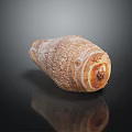 Fresh Whole Taro Root With Natural Brown Skin And Smooth Surface
