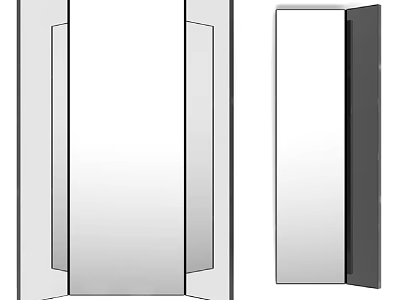 Modern Double Door Mirror With Sleek Frame And Clear Reflective Glass 3d model