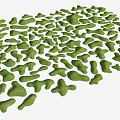 Garden Landscape Design With Green Moss Covered Irregular Stones In Heart Shaped Arrangement