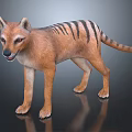 Wild Canine Animal With Brown Fur Black Stripes And Long Tail