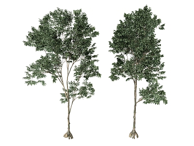 trees plants greenery 3d model