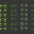 Cartoon Scenes Featuring Various Green Plants With White And Red Decorations
