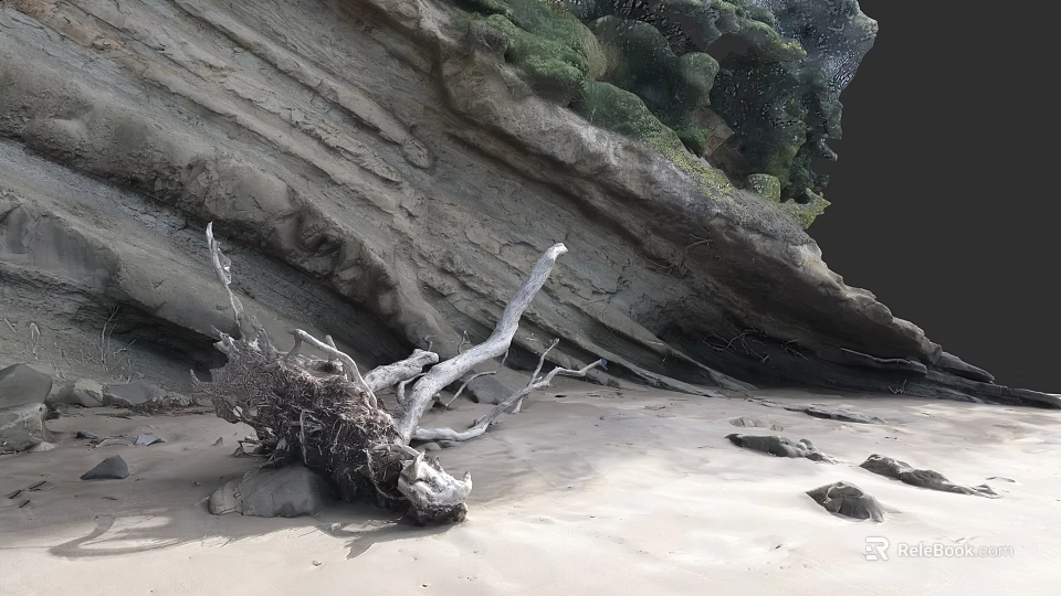Natural Beach Scene With Driftwood And Rock Formation Featuring Green Vegetation 3d model 