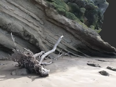 Natural Beach Scene With Driftwood And Rock Formation Featuring Green Vegetation 3d model
