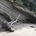 Natural Beach Scene With Driftwood And Rock Formation Featuring Green Vegetation