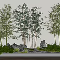 Small Natural Garden Landscape With Bamboo Plants Stones And Ferns