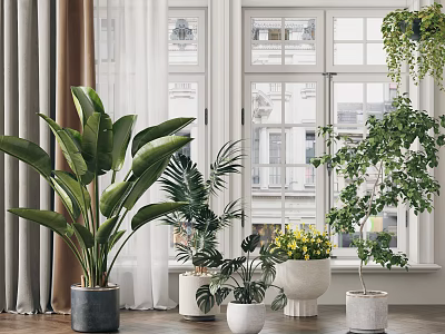 Indoor Potted Plants With Large Green Foliage Various Types And White Gray Pots By Window 3d model