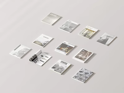 Various Books and Magazines with Different Black White Minimalist Covers on Light Background 3d model
