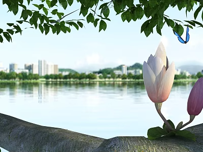 Beautiful Pink White Magnolia Flowers With Fresh Green Leaves By Calm Lake Cityscape Distant Mountains 3d model