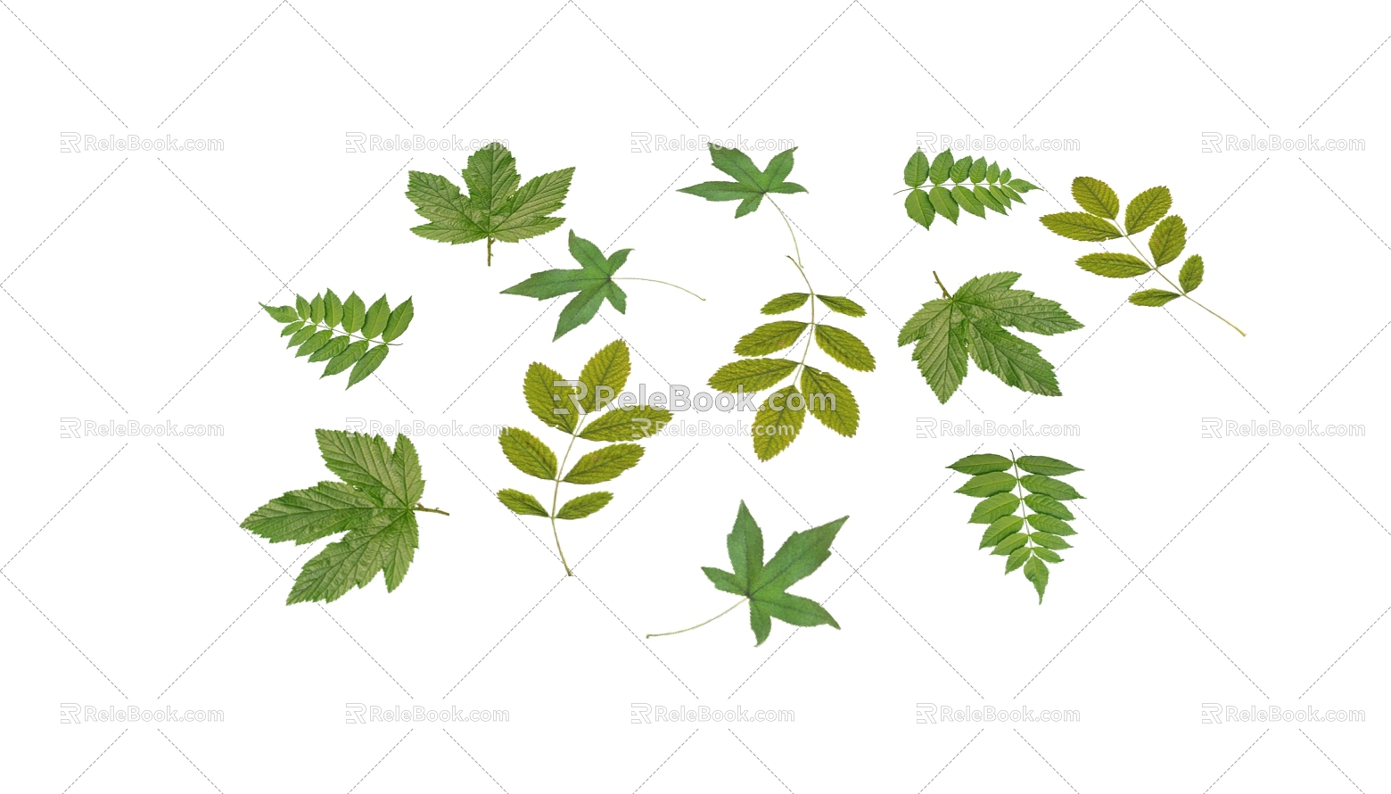 Modern Leaves Leaves 3d model