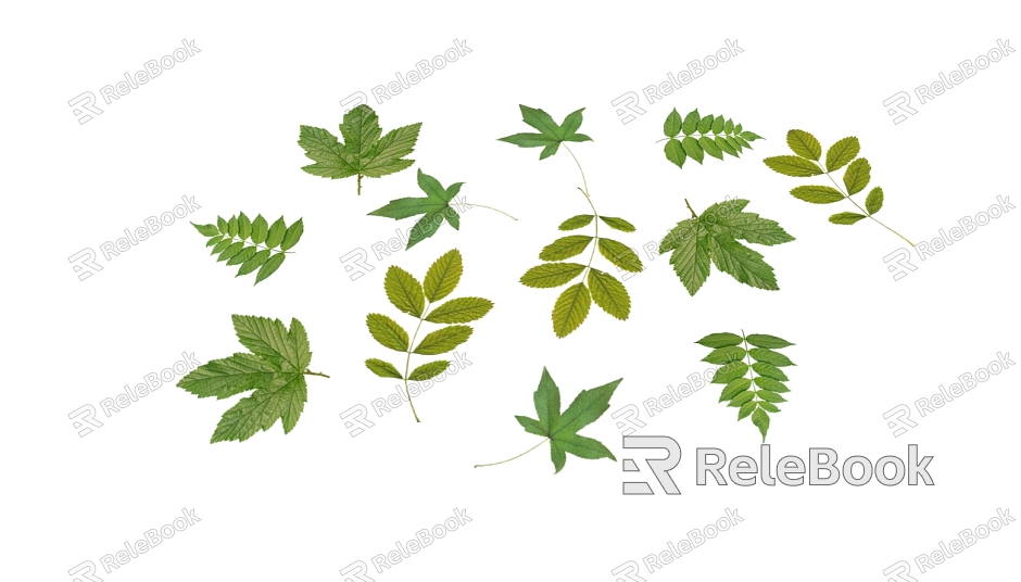 Modern Leaves Leaves model