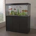 Stylish Home Aquarium Setup With Colorful Fish Aquatic Plants Decorative Stones And Black Cabinet