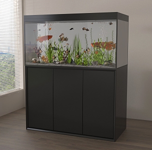 Modern fish tank aquarium 3d model