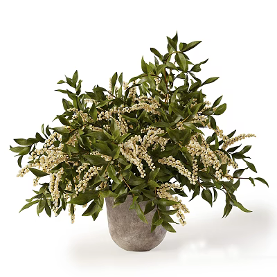 Elegant Gray Stoneware Vase With White Flowers And Fresh Green Leaves 3d model