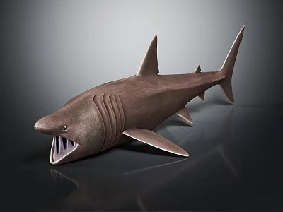 Realistic Brown Shark Model With Open Mouth Sharp Teeth And Textured Fins 3d model