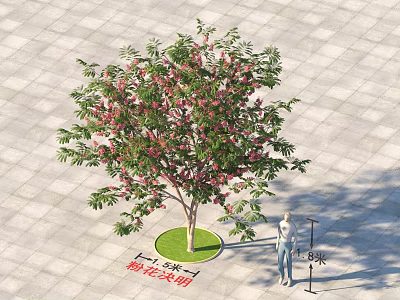 Tall Tree with Pink Blossoms Growing on Green Grass 8 Meters Height 3d model