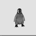 Baby Penguin With Gray Body Black Head And Black Feet Standing On Gray Background