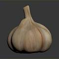 Fresh Garlic Bulb With Natural Texture On Dark Background Close Up View 3d model