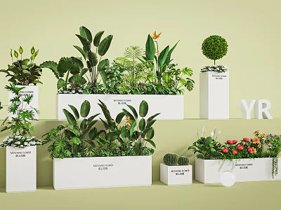 Various Green Plant Combinations In White Planters With Flowers And Foliage 3d model