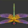Colorful Dragonfly With Vibrant Colored Mesh Pattern Wings And Colorful Body