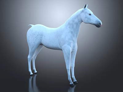 White Horse With Dark Spots Full Body Standing On Shiny Dark Background 3d model