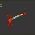 3D Rendered Red Neuron Structure With Branches Synapses And Dark Background Reflection