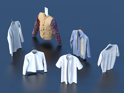 Stylish Clothes Hanging On Hangers With Various Apparel Styles And Designs 3d model