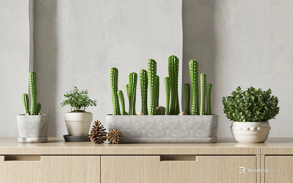 Decorative Cactus And Green Potted Plants On Wooden Cabinet With Gray Wall 3d model 