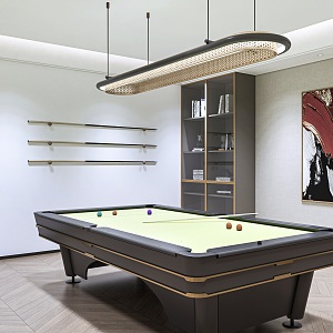 Billiard Room Entertainment Room Billiard Room Billiard 3d model