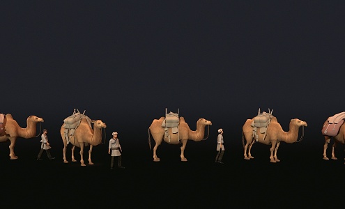 Camel Western Silk Road 3d model