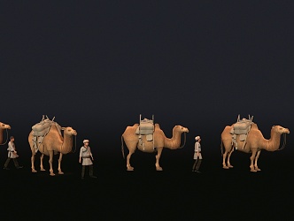 Camel Western Silk Road 3d model