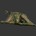 Natural Wood Stone Tree Stump Decorative Piece With Moss And Natural Texture