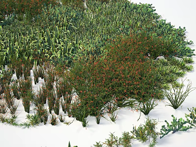 Various Types of Shrubs Growing on Snowy Ground With Green Plants 3d model