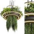 Greenery Decorated Hanging Chandelier With Circular Design And Illuminated Warm Light