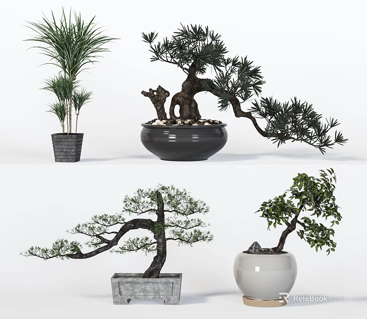 Bonsai Plants With Different Shapes In Decorative Ceramic And Concrete Pots 3d model