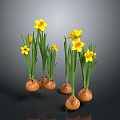 Fresh Onion Bulbs With Green Leaves And Yellow Flowers On Grey Background