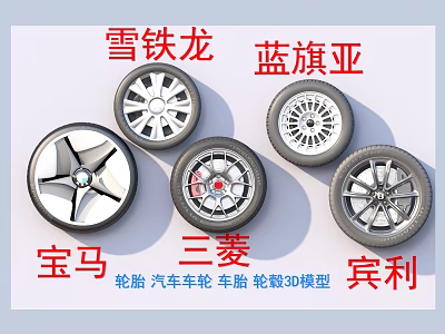 Car Tires and Alloy Wheels 3D Models for BMW Citroen Bentley Mitsubishi Vehicles 3d model