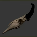 Detailed Animal Skull With Long Black Horns On Dark Surface