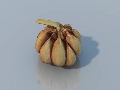 Fresh Whole Garlic Bulb With Natural Skin And Cloves On Reflective Surface 3d model