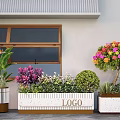 Outdoor Plant Combination Featuring Planter Boxes Colorful Flowering Tree Purple Leaf Plants Green Shrubs Herbs