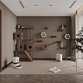 Indoor Cat Activity Space With Wall Mounted Shelves Houses Scratching Post And Plant