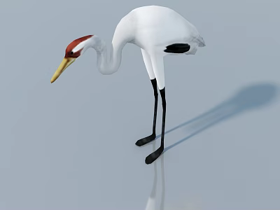 White Crane Sculpture Featuring Red Head Yellow Beak Black Legs on Gray Background with Reflection 3d model