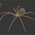 Realistic 3D Spider With Long Pink Legs Dark Body And Blue Spots On Dark Background