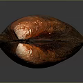 Close Up View Of Orange Red Shellfish With Shiny Surface On Gray Background