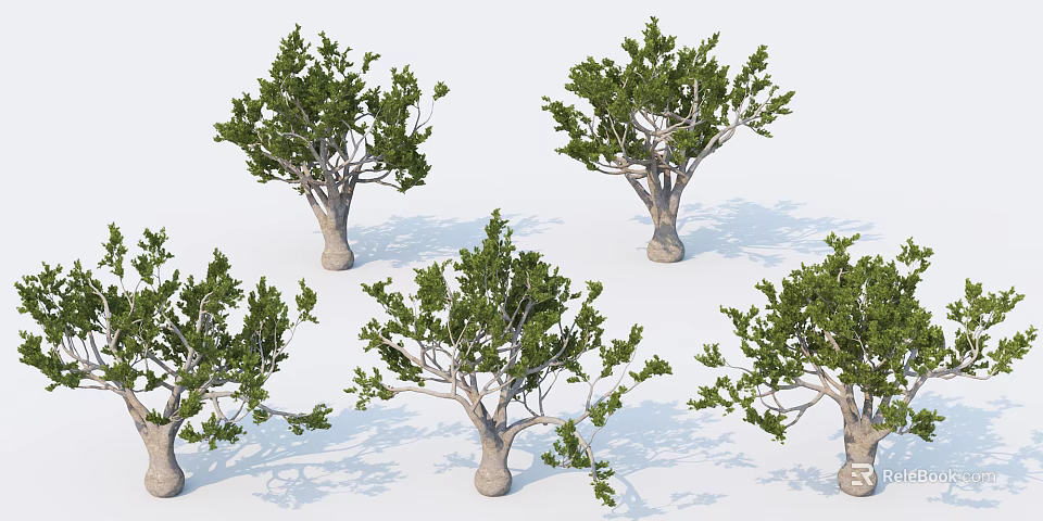 Multiple Arbor Trees With Green Leafy Canopies And Sturdy Trunks In Natural 3d model