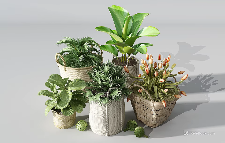 Assorted Bonsai Potted Plants Featuring Green Foliage and Tulips in Woven and Ceramic Containers 3d model 