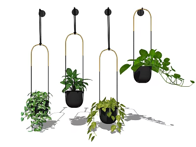 Stylish Hanging Planters with Lush Green Plants and Metal Hangers for Indoor Decor 3d model