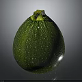 Green Round Zucchini with White Spots and Yellow Stem on Dark Background