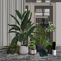 Indoor Potted Plants Various Types With Green Leaves In Different Pots For Home Decor